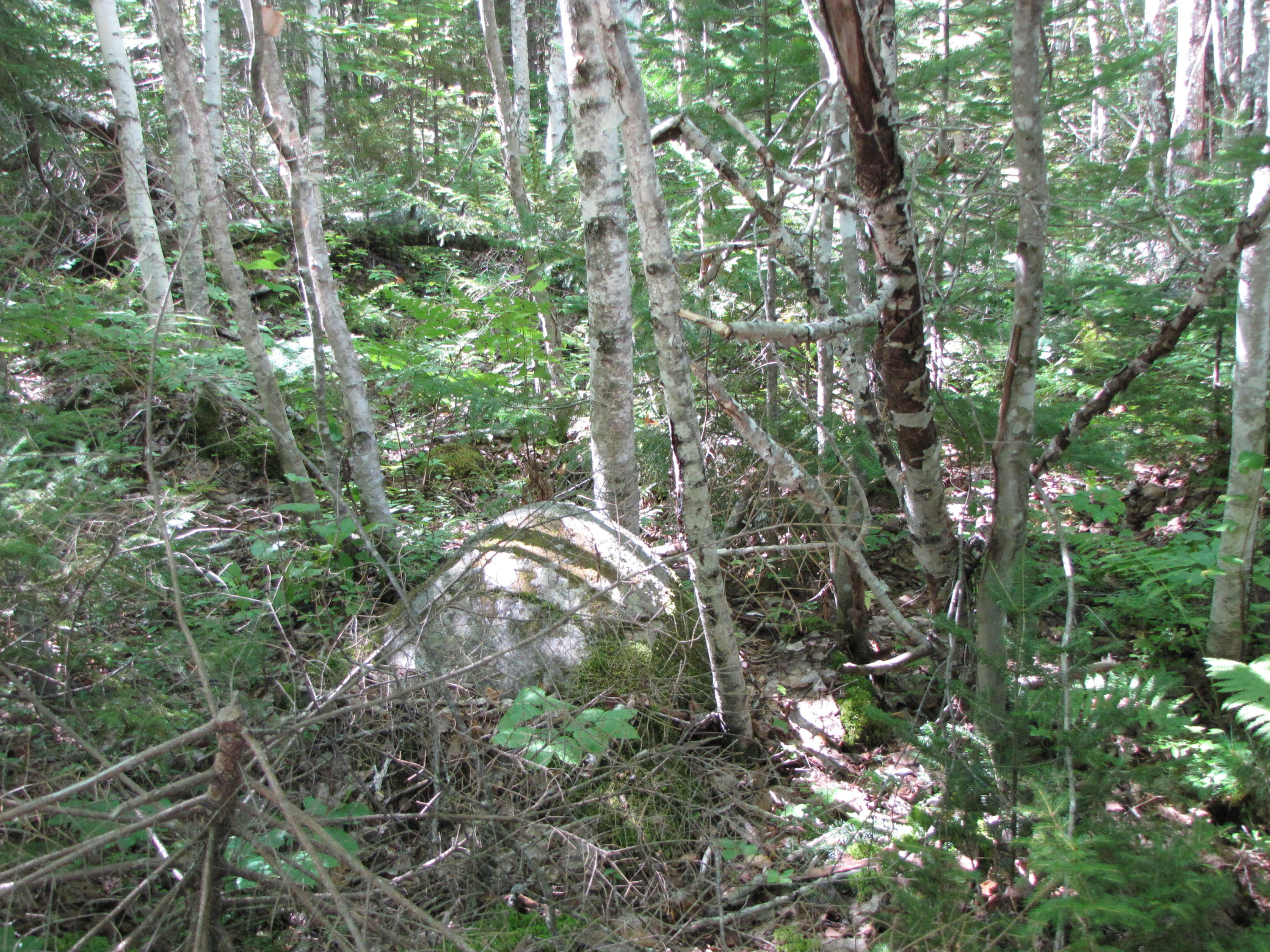 03 Plan Cherryfield, ME 04622 - Photo 28 of 36 IMG_0454
