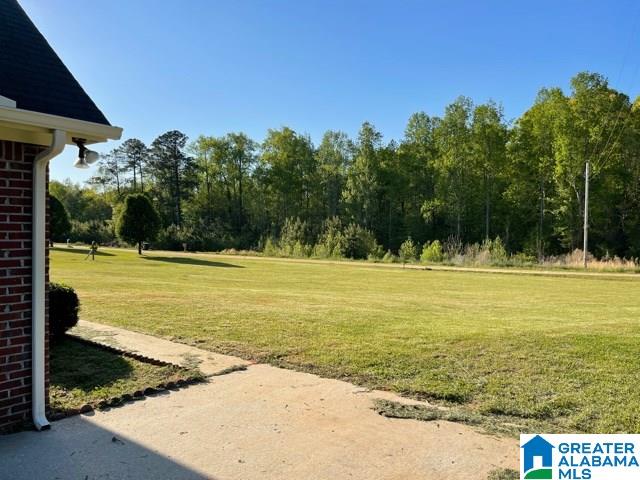 1128 County Road 159 Lafayette, AL 36862 - Photo 6 of 15