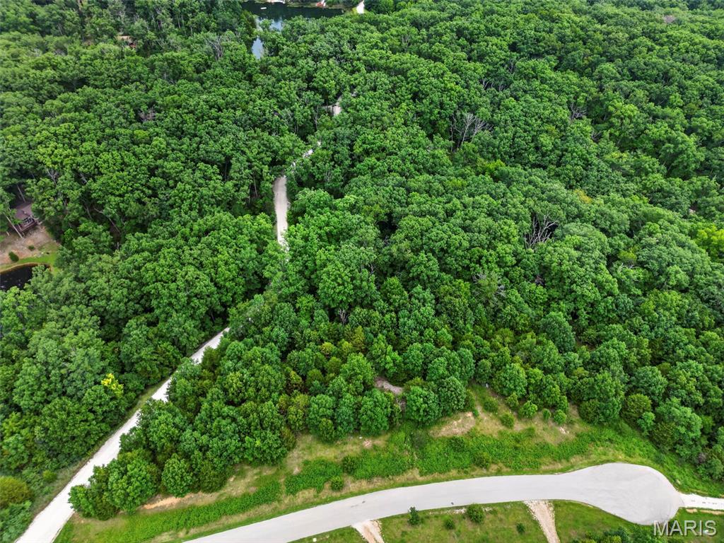 2482 Alpine Summit Drive Innsbrook, MO 63390 - Photo 7 of 14 Gallery Image 7