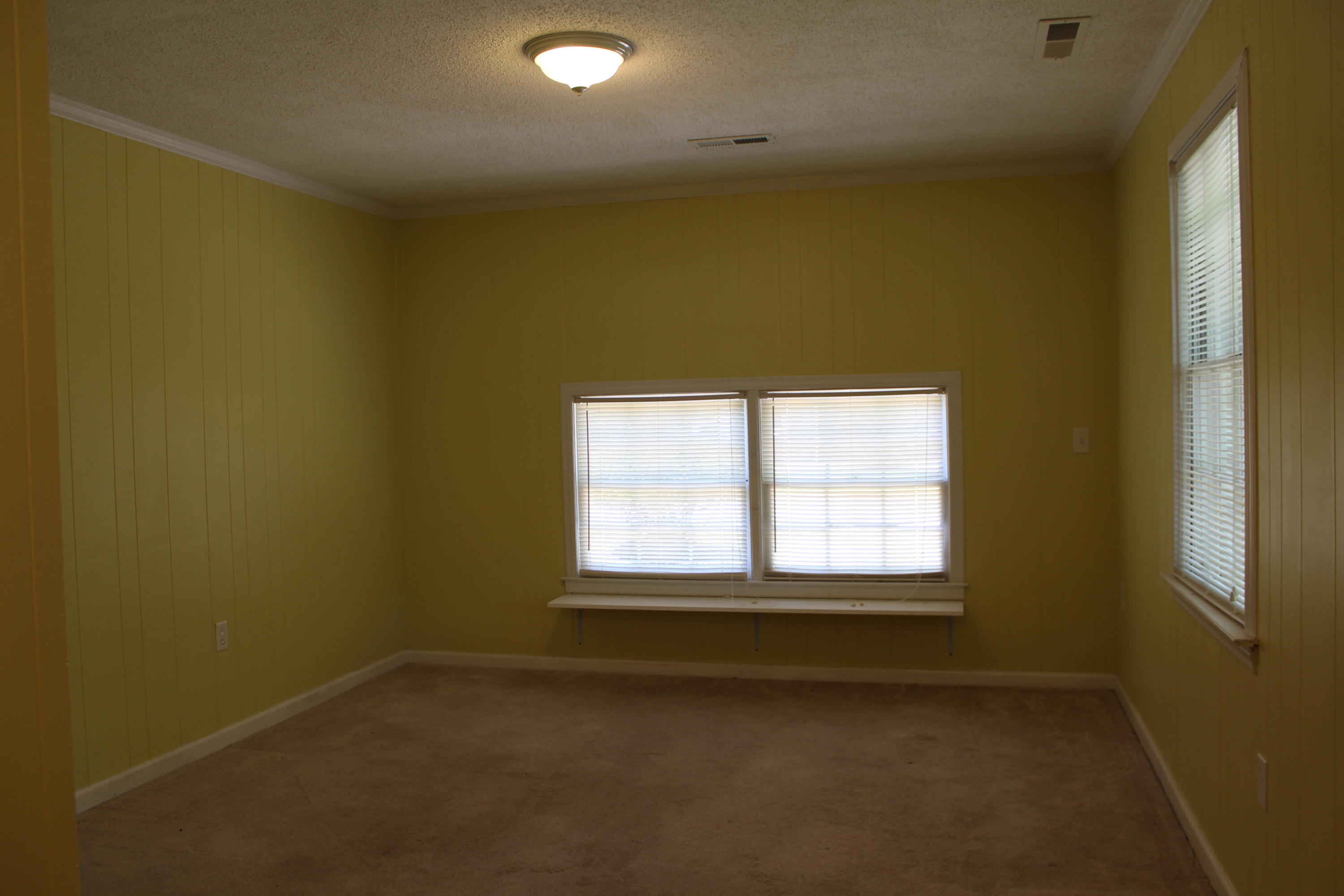 324 Pageland Road Charleston, SC 29412 - Photo 7 of 9 341 (2)