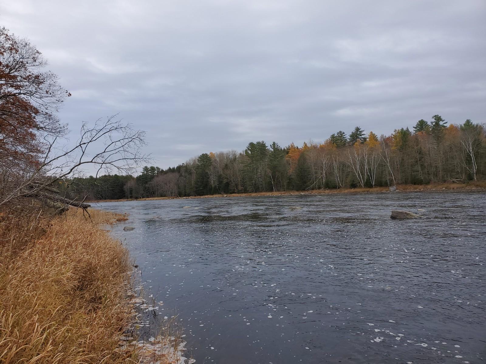 Lot 5 North Howland Road Medford, ME 04463 - Photo 1 of 9 20201028_092744