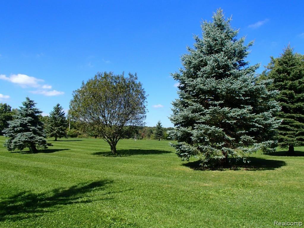9339 Merrill Road Whitmore Lake, MI 48189 - Photo 2 of 5