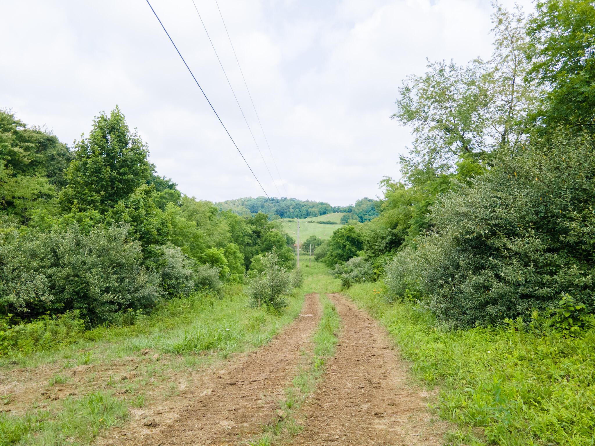 0 White Eyes Road Norwich, OH 43767 - Photo 6 of 14 DJI_0019