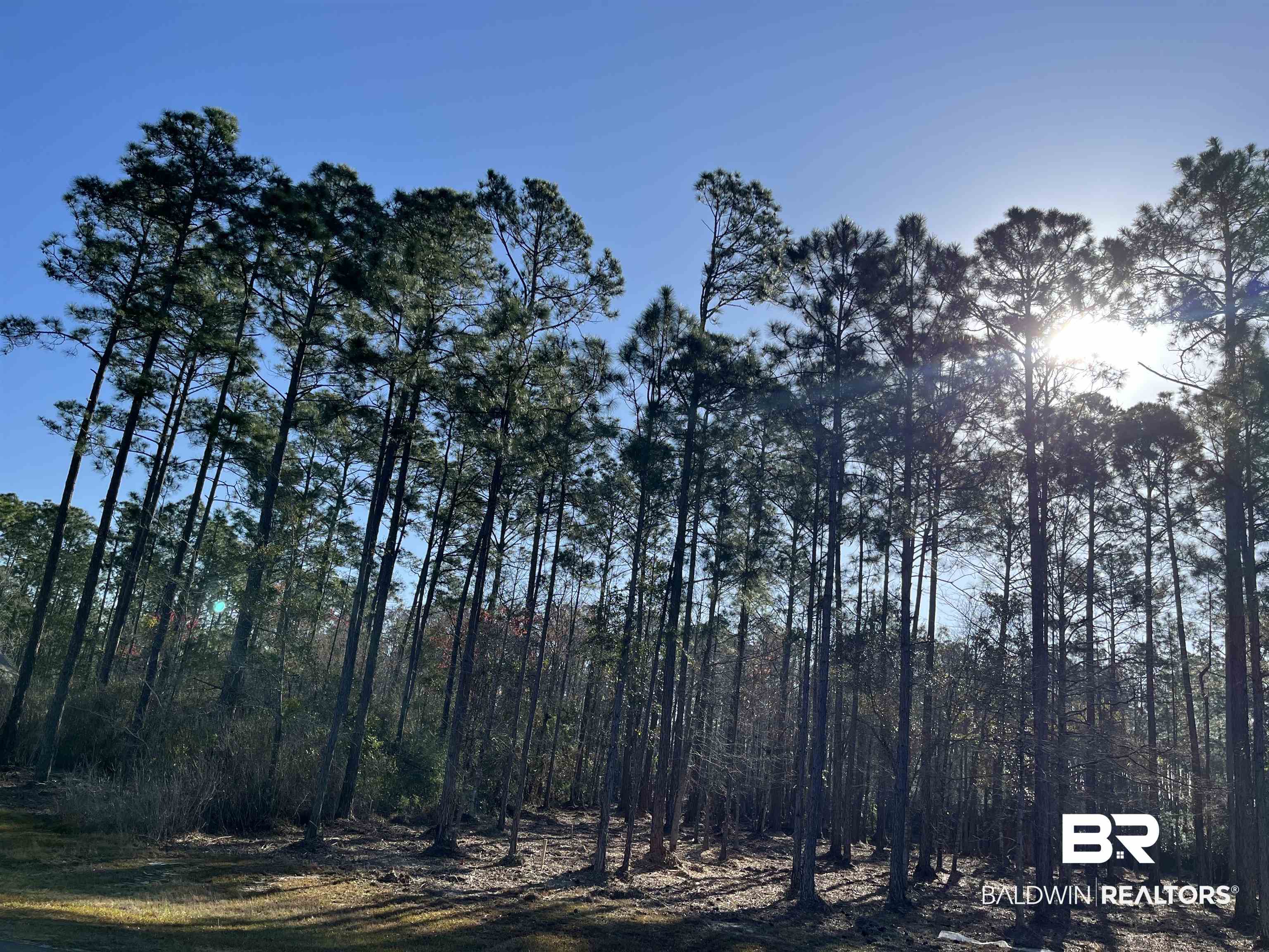 Treasure Oaks Road Gulf Shores, AL 36542 - Photo 3 of 10