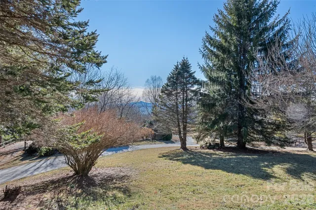a view of a yard with plants and trees