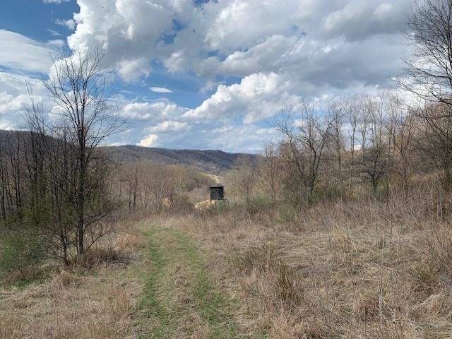 Tbd Big Valley Road Monterey, VA 24465 - Photo 12 of 17