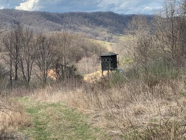 Tbd Big Valley Road Monterey, VA 24465 - Photo 13 of 17