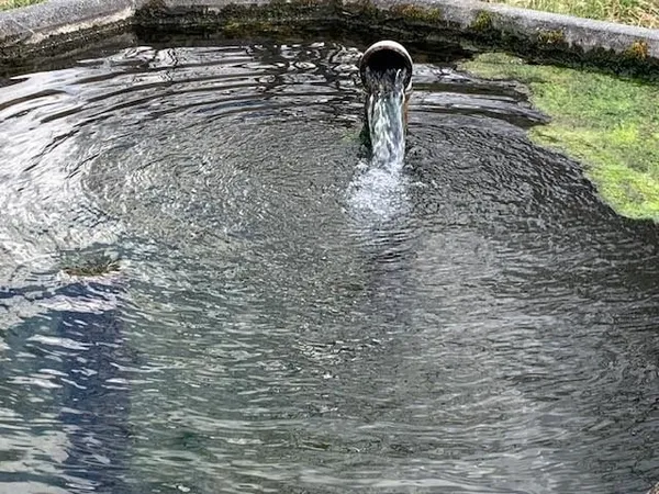 $425,000 | Tbd Big Valley Road, Monterey, VA 24465