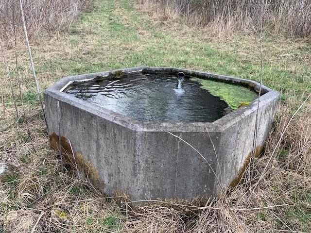 Tbd Big Valley Road Monterey, VA 24465 - Photo 16 of 17