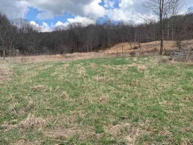 Tbd Big Valley Road Monterey, VA 24465 - Photo 9 of 17