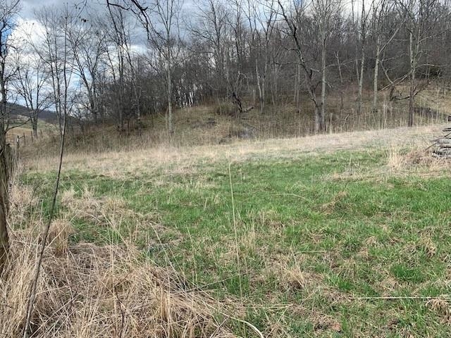 Tbd Big Valley Road Monterey, VA 24465 - Photo 10 of 17