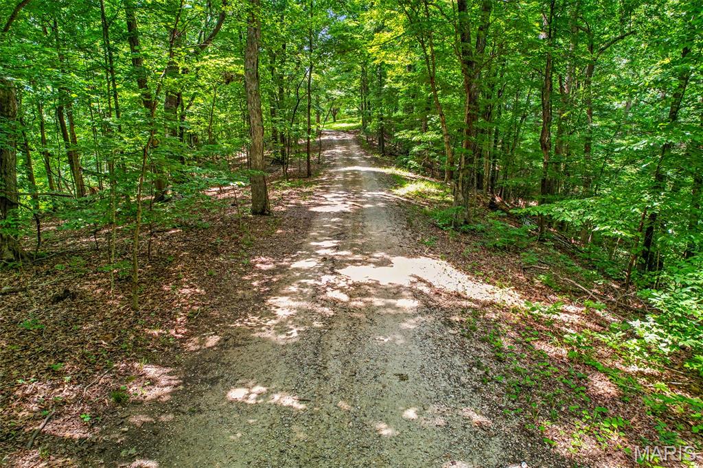 Undisclosed Undisclosed Ridge Cape Girardeau, MO 63701 - Photo 92 of 93