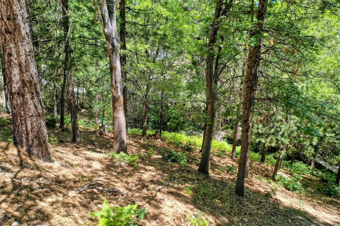 27457 North Bay Road Lake Arrowhead, CA 92352 - Photo 11 of 15 Gallery Image 11