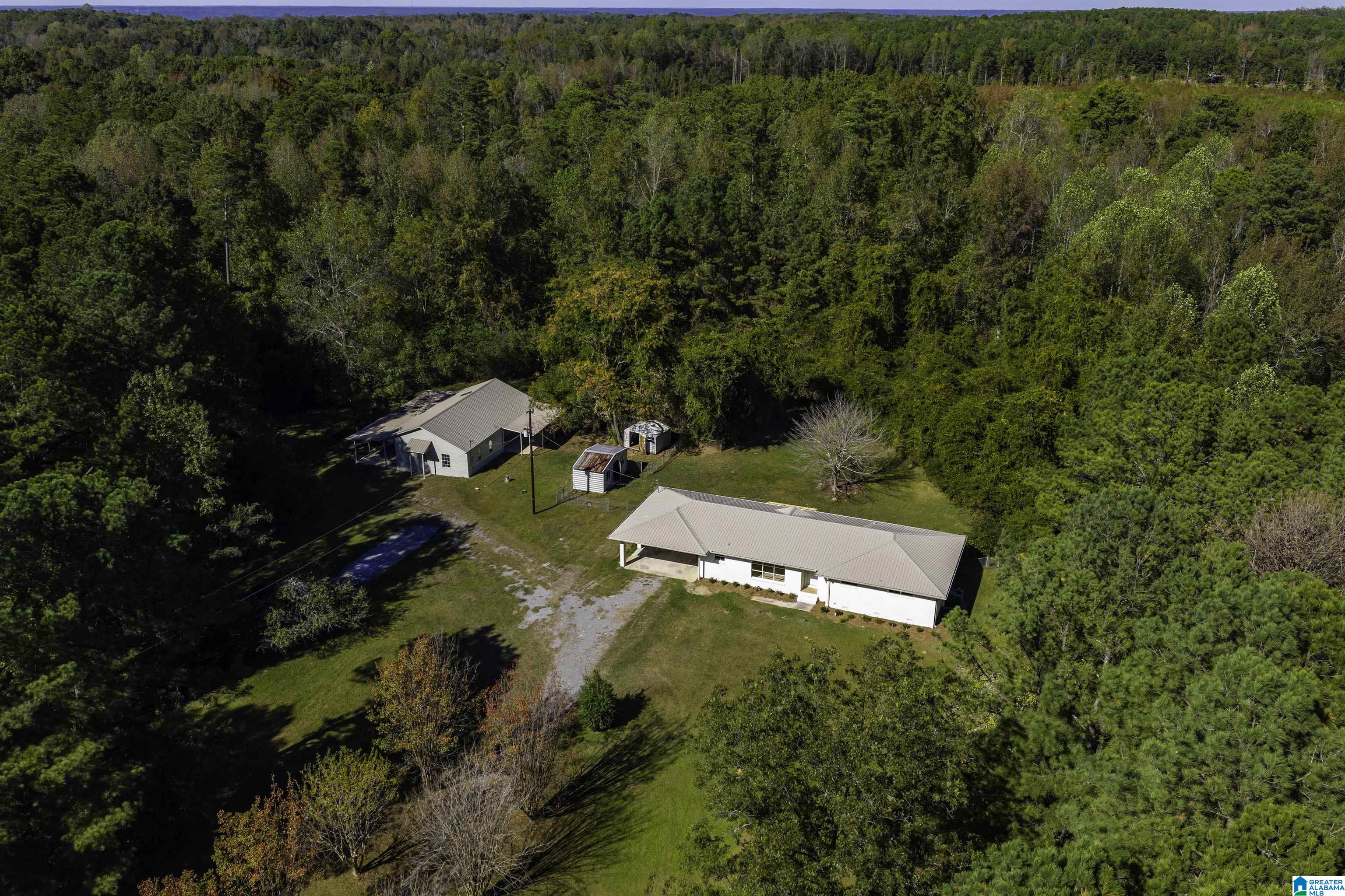 9389 Central Road Warrior, AL 35180 - Photo 42 of 42