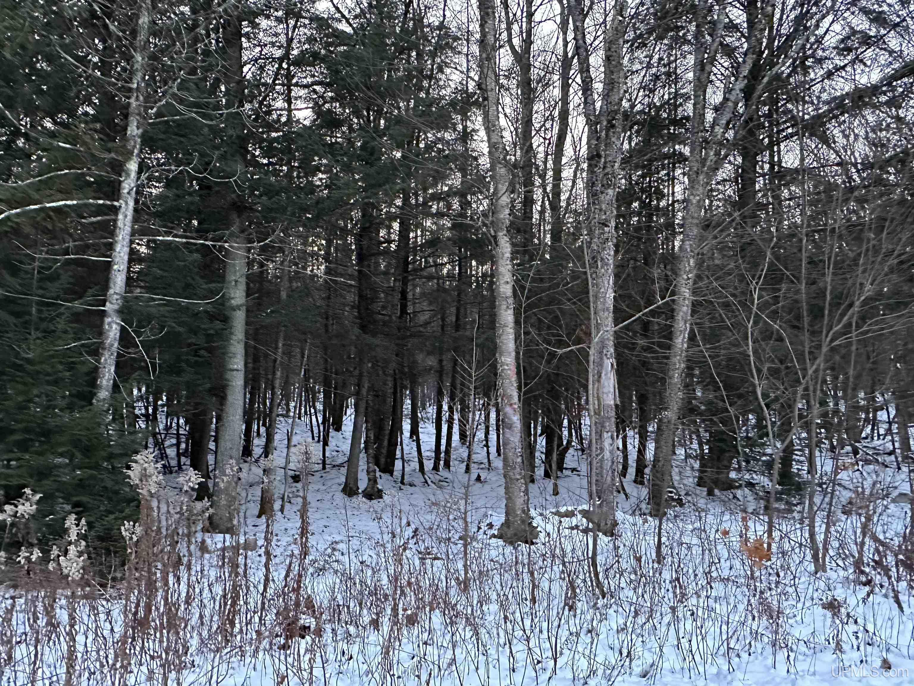 Lot 49 Hewitt Lane Mercer, WI 54547 - Photo 27 of 28 Gallery Image 27