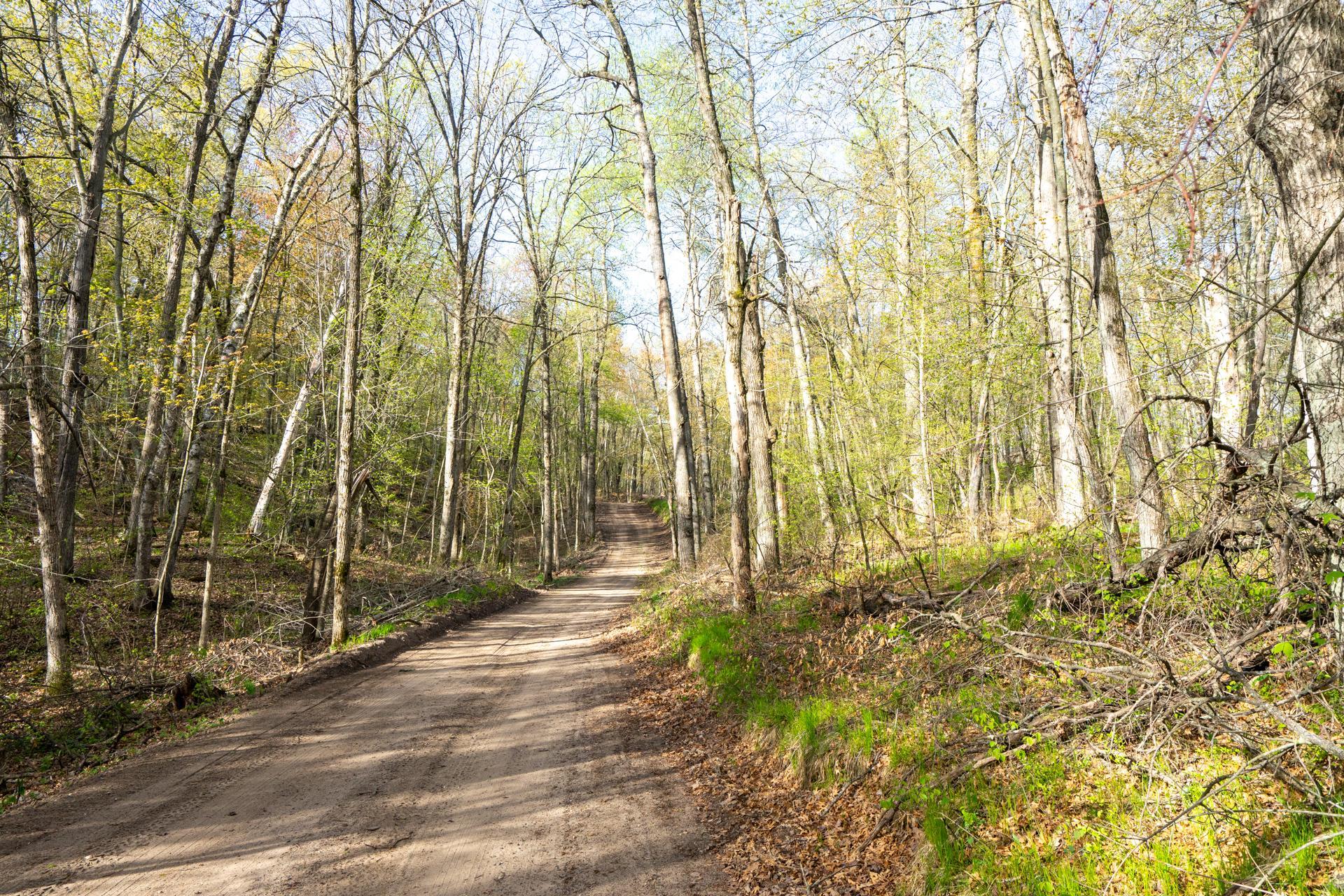 Xxx Timber Ridge Drive Baxter, MN 56425 - Photo 24 of 38