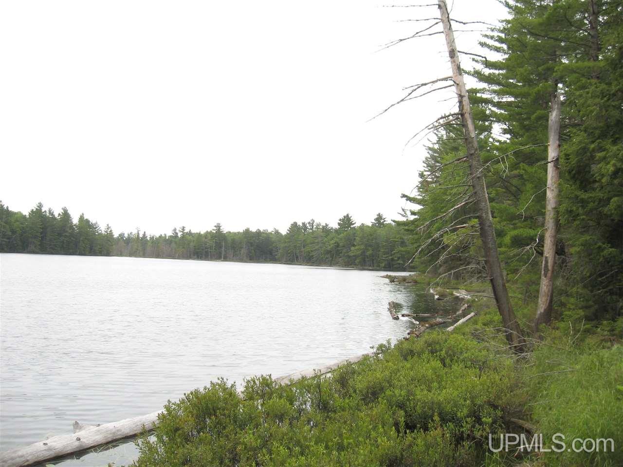 0 Rhody Cr, Unit CARTER LAKE RDP Seney, MI 49883 - Photo 20 of 36