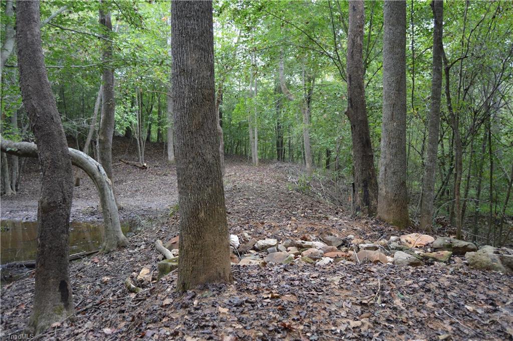 0 Freeman Road Madison, NC 27025 - Photo 15 of 27