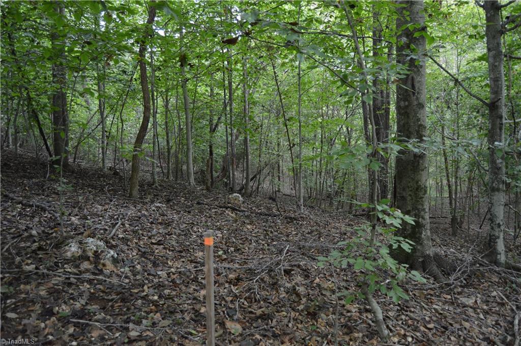0 Freeman Road Madison, NC 27025 - Photo 16 of 27