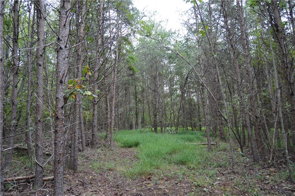 0 Freeman Road Madison, NC 27025 - Photo 17 of 27