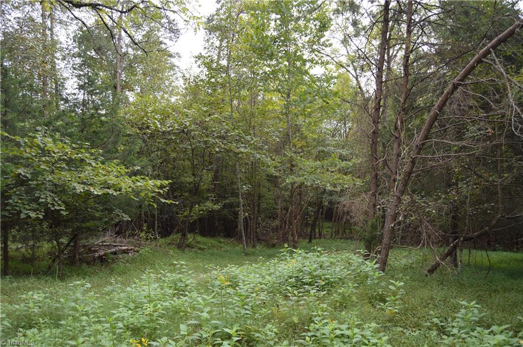0 Freeman Road Madison, NC 27025 - Photo 18 of 27