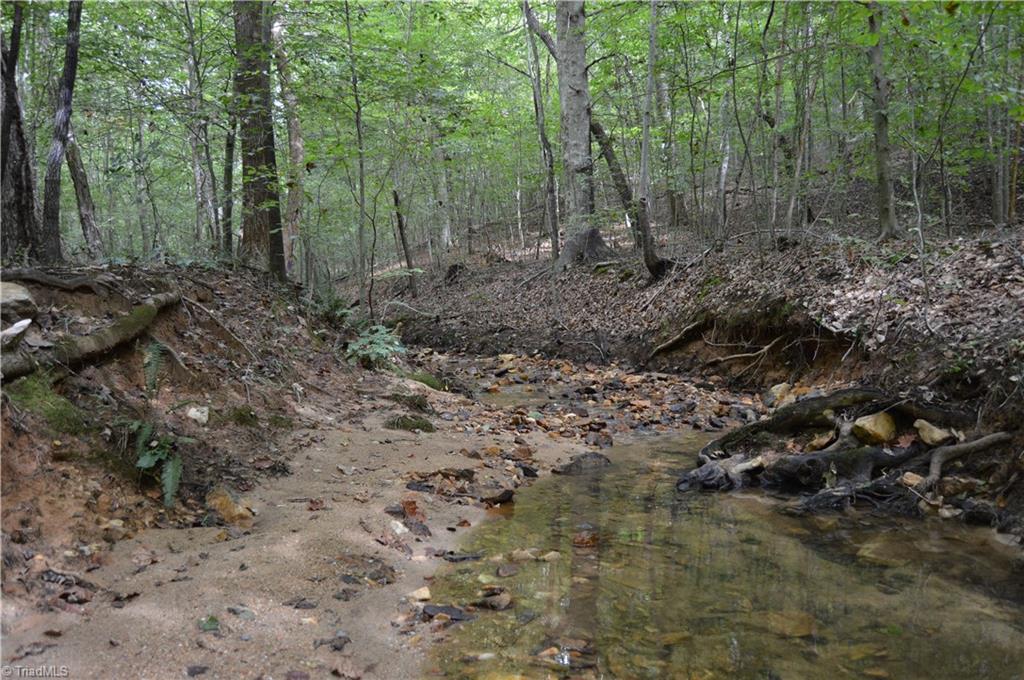 0 Freeman Road Madison, NC 27025 - Photo 19 of 27
