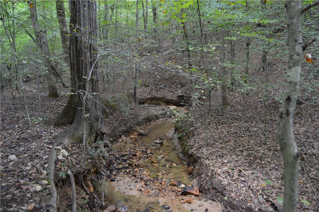 0 Freeman Road Madison, NC 27025 - Photo 20 of 27