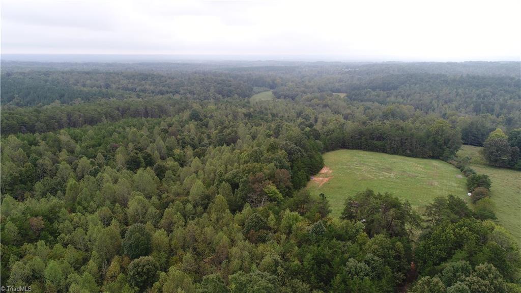 0 Freeman Road Madison, NC 27025 - Photo 3 of 27