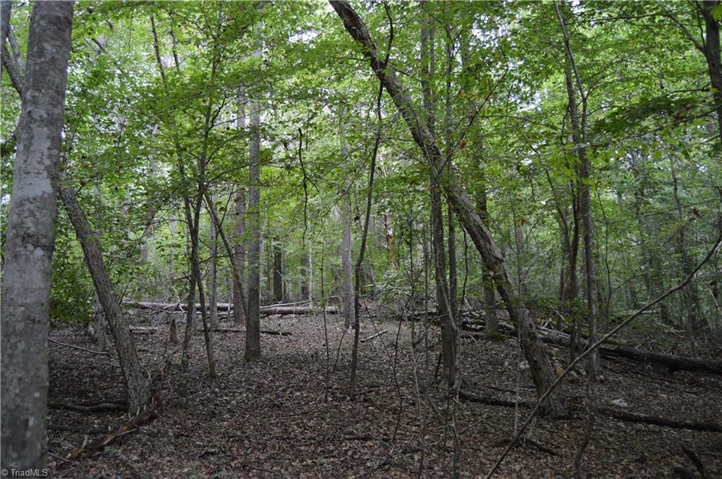 0 Freeman Road Madison, NC 27025 - Photo 21 of 27