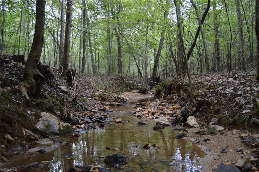 0 Freeman Road Madison, NC 27025 - Photo 22 of 27