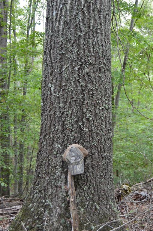 0 Freeman Road Madison, NC 27025 - Photo 24 of 27