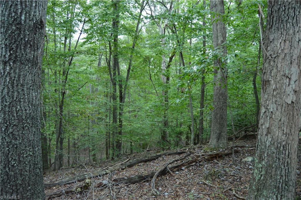 0 Freeman Road Madison, NC 27025 - Photo 25 of 27