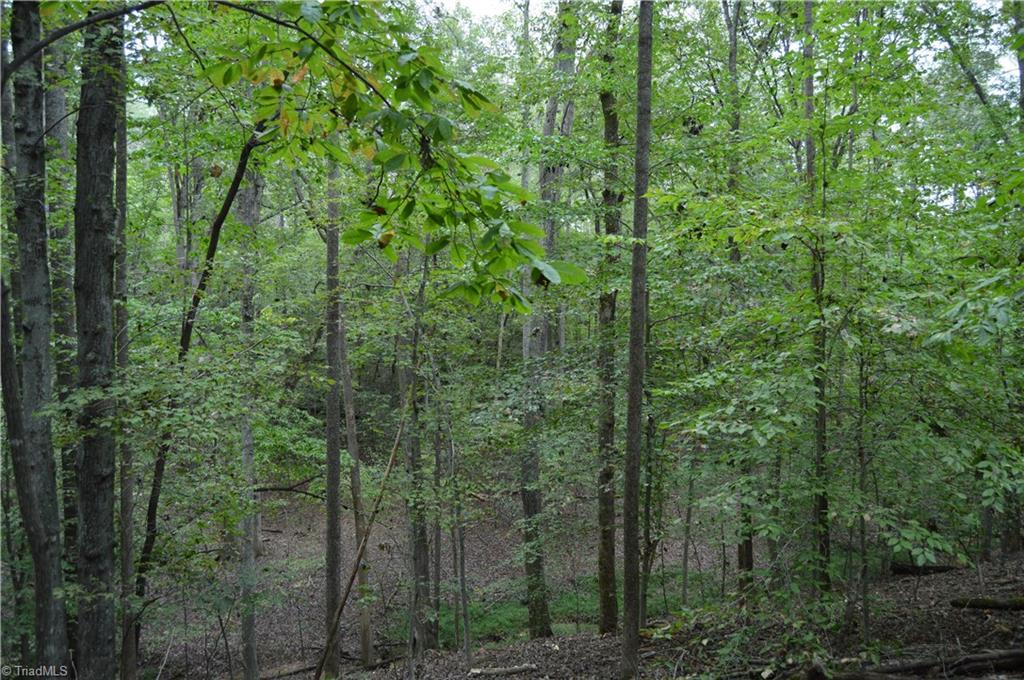 0 Freeman Road Madison, NC 27025 - Photo 26 of 27