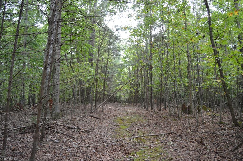 0 Freeman Road Madison, NC 27025 - Photo 27 of 27