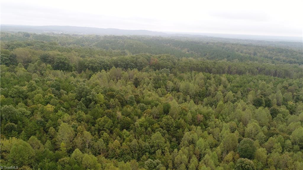 0 Freeman Road Madison, NC 27025 - Photo 4 of 27