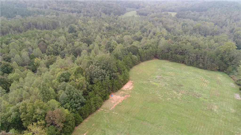 0 Freeman Road Madison, NC 27025 - Photo 5 of 27