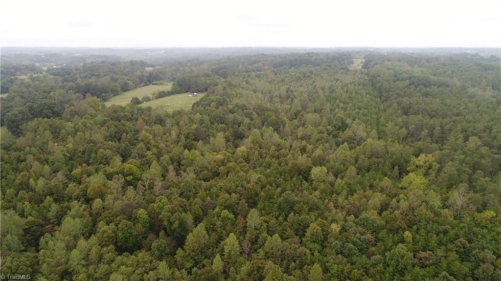 0 Freeman Road Madison, NC 27025 - Photo 7 of 27