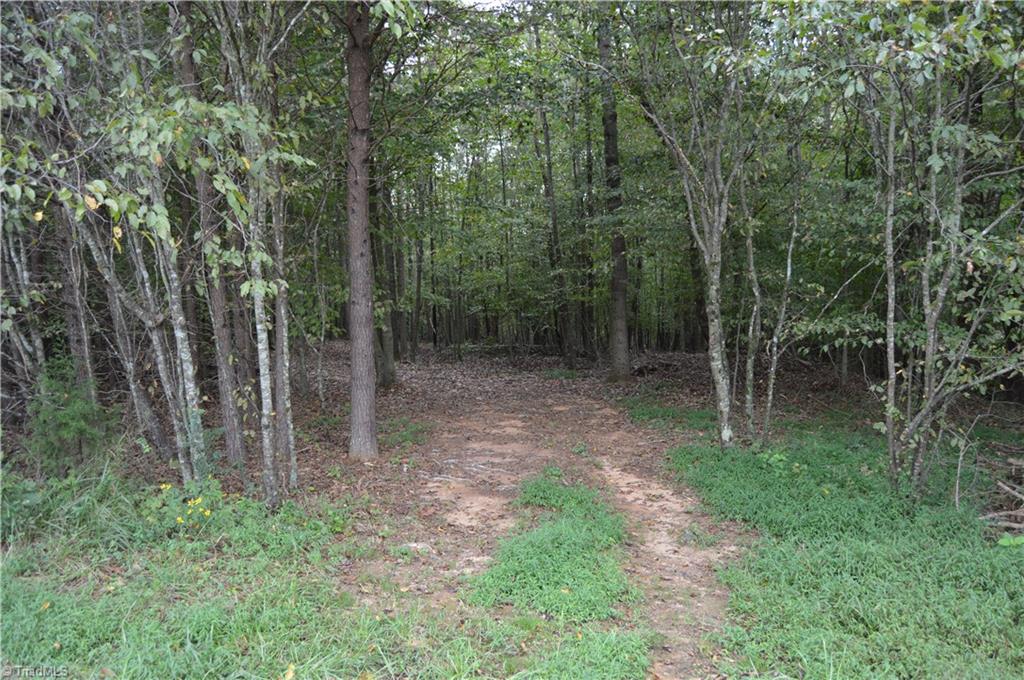 0 Freeman Road Madison, NC 27025 - Photo 8 of 27