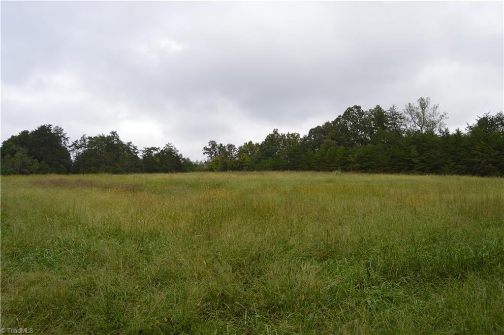 0 Freeman Road Madison, NC 27025 - Photo 9 of 27