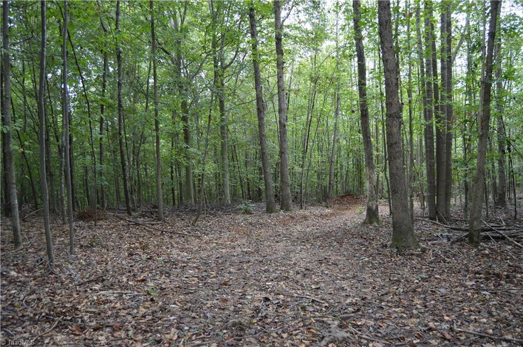 0 Freeman Road Madison, NC 27025 - Photo 10 of 27