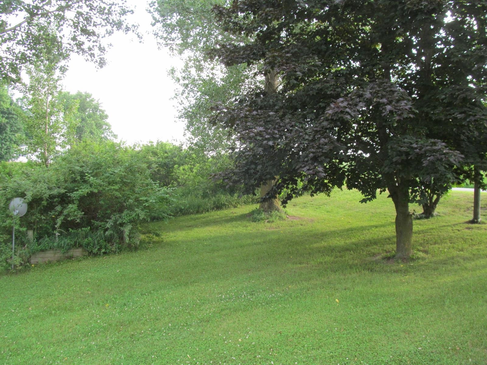 10109 South Lucas Road McBain, MI 49657 - Photo 25 of 30 1936187-f5a00cc7-6168-4ebe-a03b-f8e61d133b28.JPG