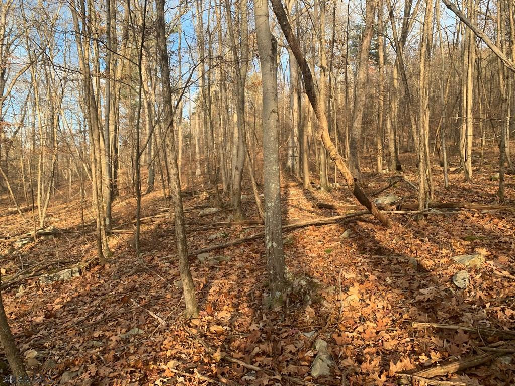 Lot I Clear Ridge Road Clearville, PA 15535 - Photo 10 of 24