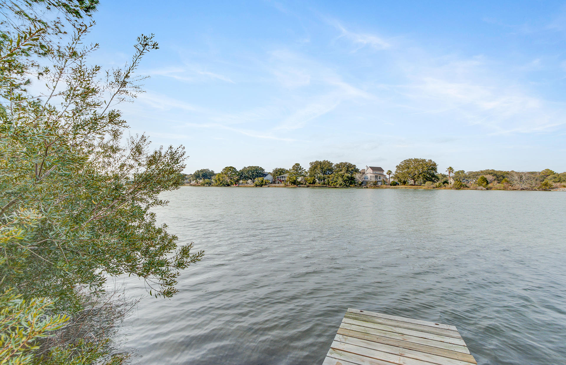 1290 Fort Lamar Road Charleston, SC 29412 - Photo 23 of 37 Eric Draper 1290 Fort Lamar-MJ (30)