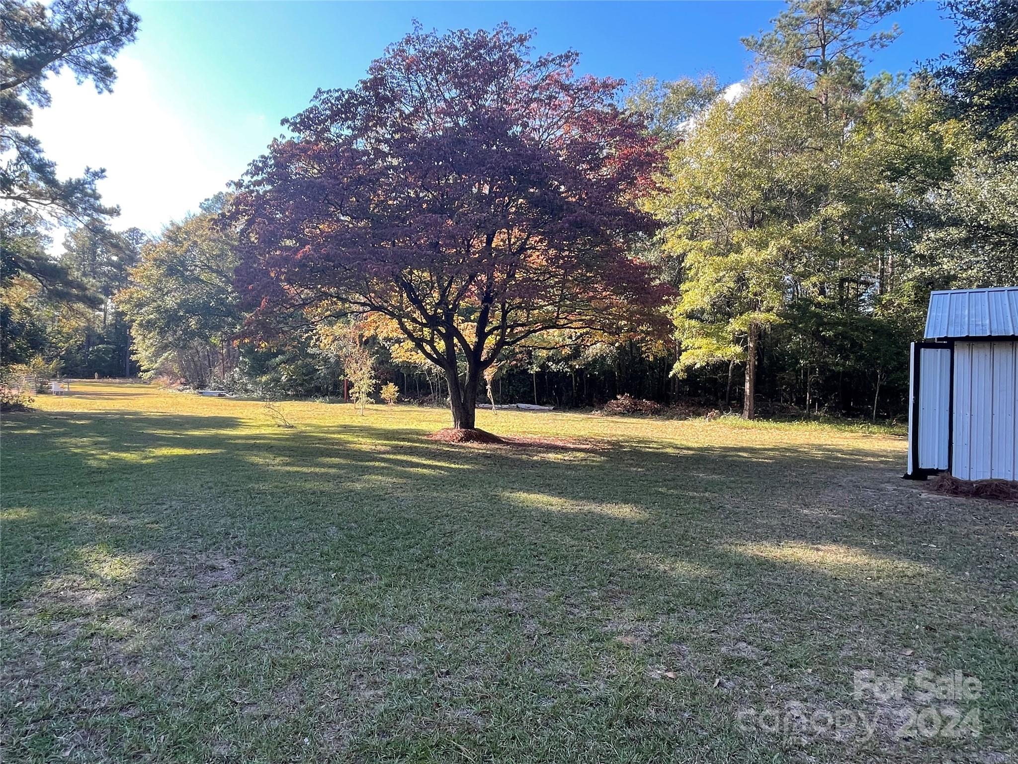 305 Spring Street Bethune, SC 29009 - Photo 26 of 35