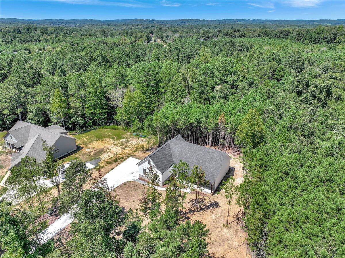 1151 Tucker School Road Cohutta, GA 30710 - Photo 36 of 44 Wooded View of your 2.41 Acres