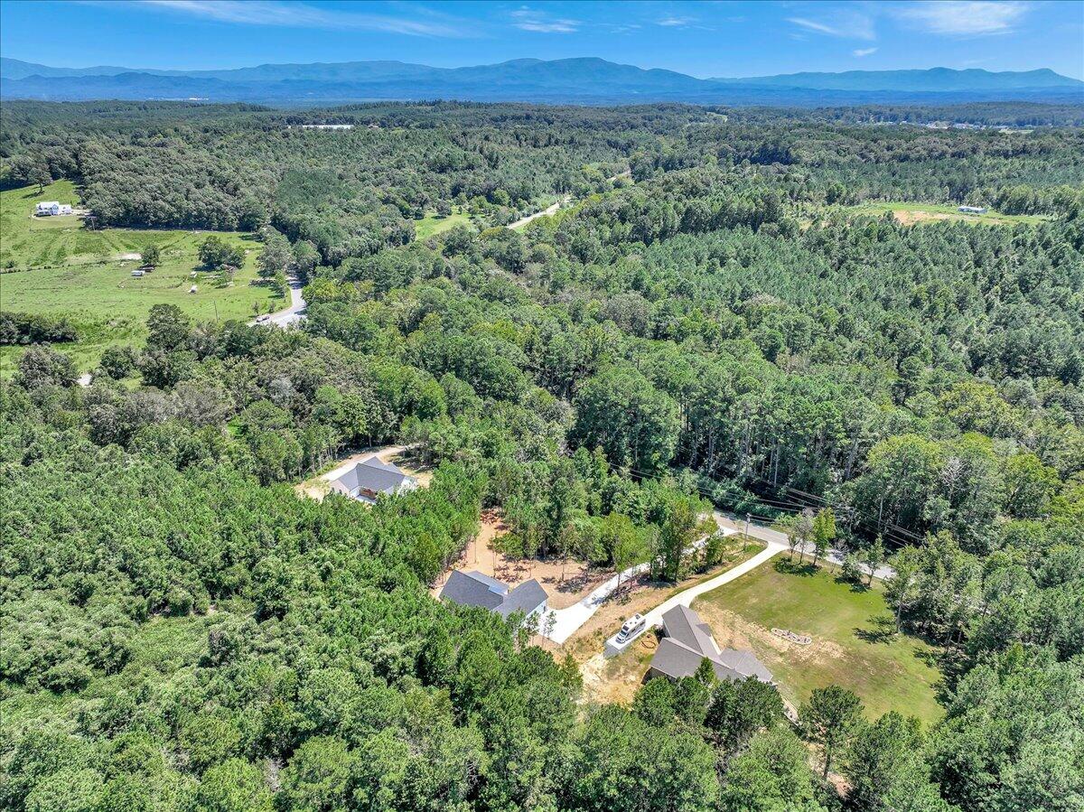 1151 Tucker School Road Cohutta, GA 30710 - Photo 38 of 44 Wooded View of your 2.41 Acres 3