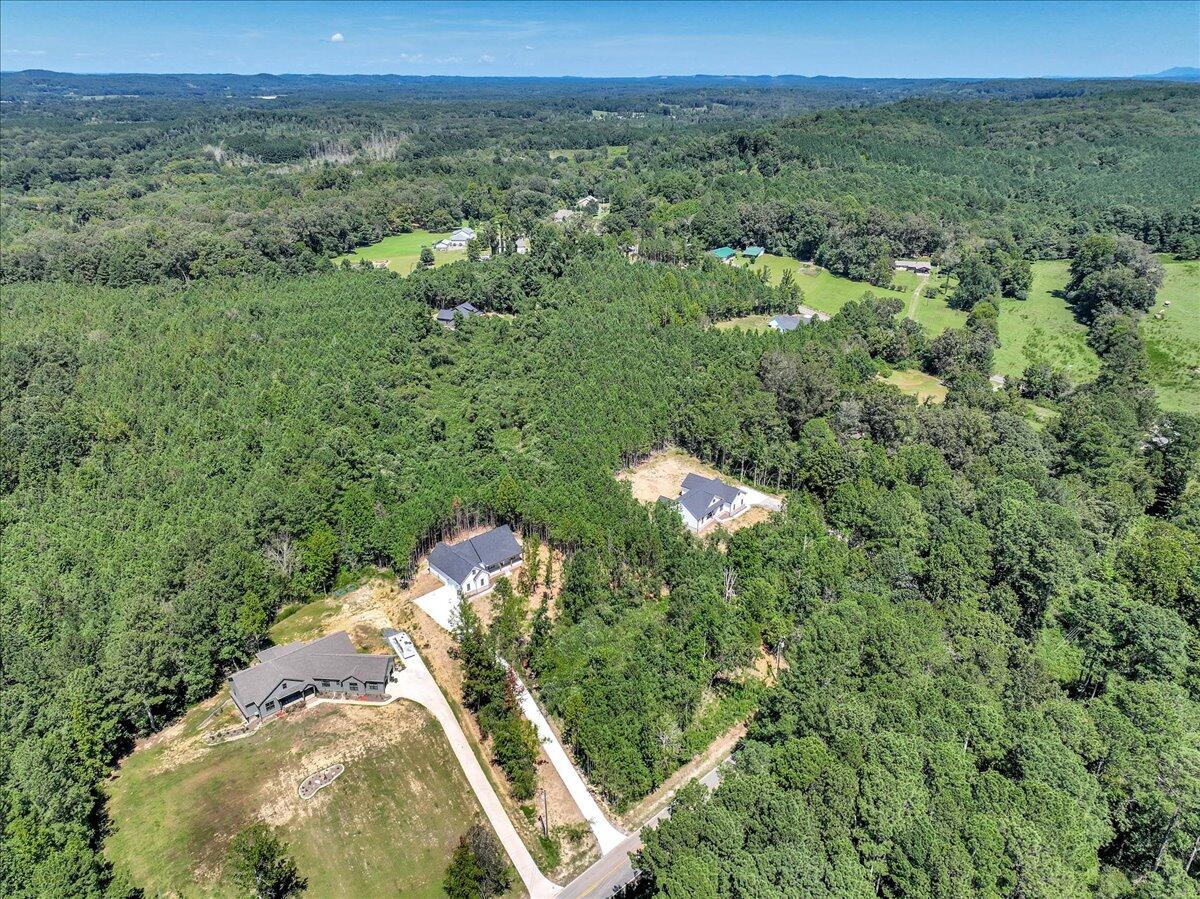 1151 Tucker School Road Cohutta, GA 30710 - Photo 40 of 44 Overhead your 2.41 Acres 2