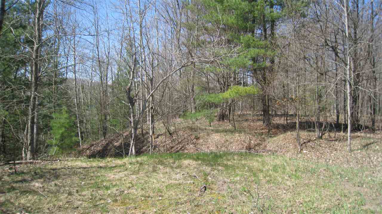 14551 Rosa Road Thompsonville, MI 49683 - Photo 26 of 35 1815534-25.JPG