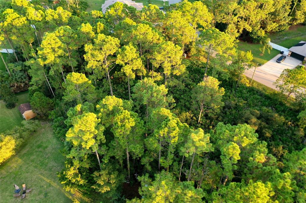 71 Sea Trail Palm Coast, FL 32164 - Photo 15 of 23