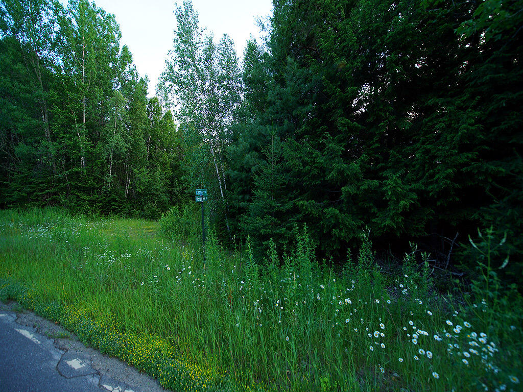 Lot 5 Route 171 Road Wytopitlock, ME 04497 - Photo 14 of 29 drew-land-koz-2